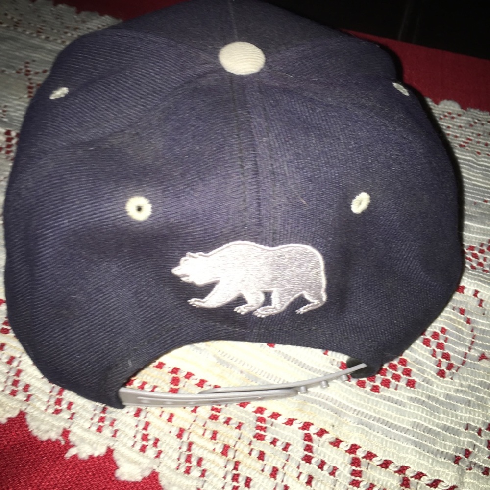 SnapBack - Picture 2 of 2